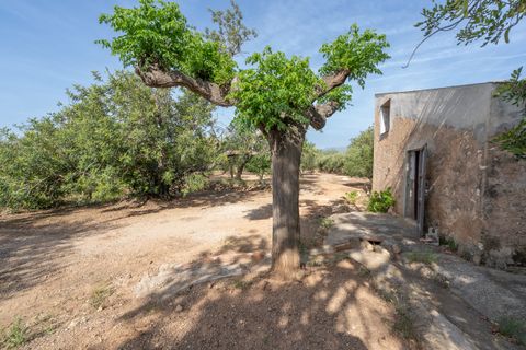 Finca i Aldover, Tarragona, Aldover - € 55.000 | Ref: 693 - foto 3