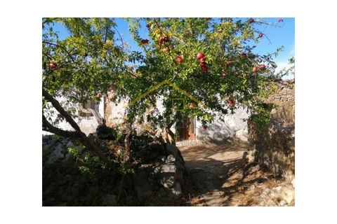 Helårsgrund i Moncarapacho, Faro, Moncarapacho - € 195.000 | Ref: TER_PER - foto 3