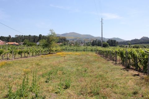 Helårsgrund i Moncao, Viana do Castelo, Moncao - € 107.000 | Ref: REF115 - foto 2
