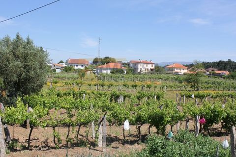Helårsgrund i Moncao, Viana do Castelo, Moncao - € 107.000 | Ref: REF115 - foto 3