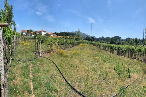 Helårsgrund i Moncao, Viana do Castelo, Moncao - € 107.000 | Ref: REF115 - foto 4