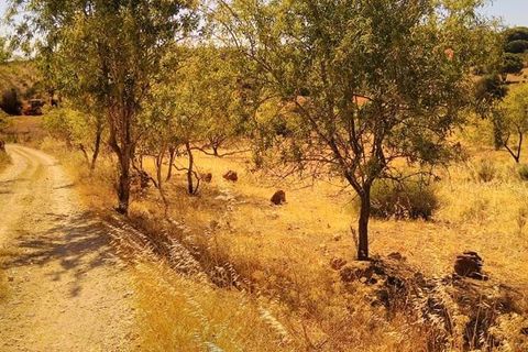 Ruinere i Lagoa, Faro, Lagoa - € 400.000 | Ref: 1/2019 - foto 4