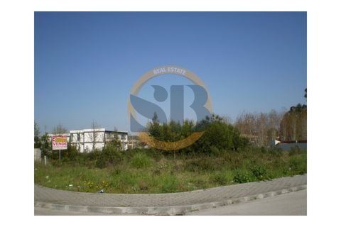 Helårsgrund i Ovar, Aveiro, Ovar - € 110.000 | Ref: T/0300 - foto 3