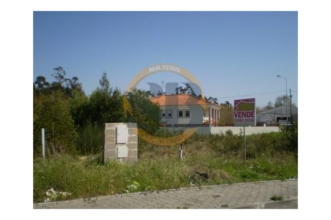 Helårsgrund i Ovar, Aveiro, Ovar - € 110.000 | Ref: T/0300 - foto 5