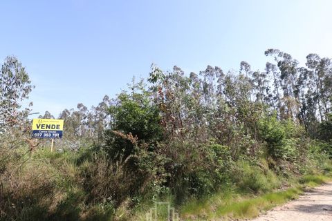 Helårsgrund i Estarreja, Aveiro, Estarreja - € 17.000 | Ref: 678 - foto 2