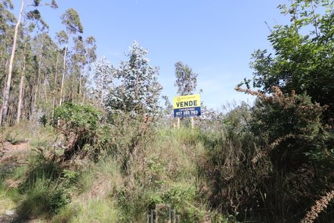 Helårsgrund i Estarreja, Aveiro, Estarreja - € 17.000 | Ref: 678 - foto 3