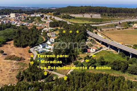 Terra a Pedroso, Porto, Pedroso - € 550.000 | Ref: ZMPT549778 - foto 7