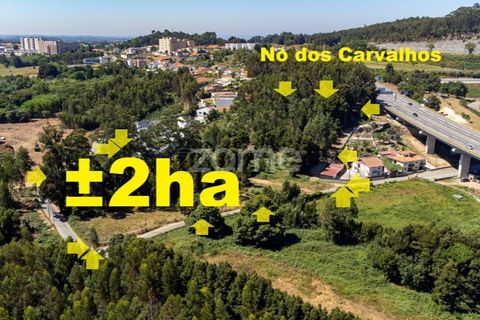 Terra a Pedroso, Porto, Pedroso - € 550.000 | Ref: ZMPT549778 - foto 8