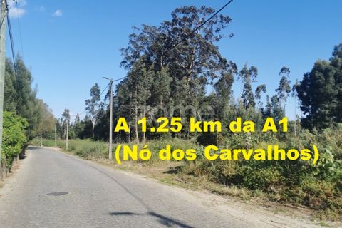 Terra a Pedroso, Porto, Pedroso - € 550.000 | Ref: ZMPT549778 - foto 10