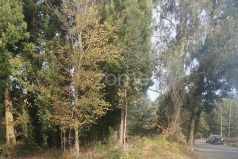 Terra a Pedroso, Porto, Pedroso - € 550.000 | Ref: ZMPT549778 - foto 14