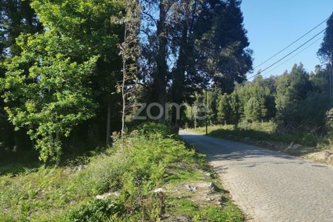 Terra a Pedroso, Porto, Pedroso - € 550.000 | Ref: ZMPT549778 - foto 16