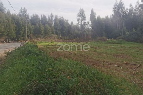 Terra a Pedroso, Porto, Pedroso - € 550.000 | Ref: ZMPT549778 - foto 20