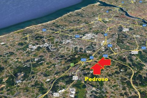Terra a Pedroso, Porto, Pedroso - € 550.000 | Ref: ZMPT549778 - foto 21