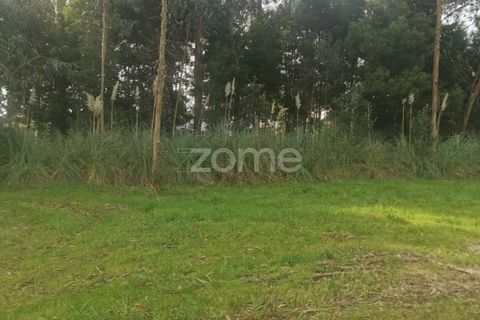 Terra a Pedroso, Porto, Pedroso - € 550.000 | Ref: ZMPT549778 - foto 23