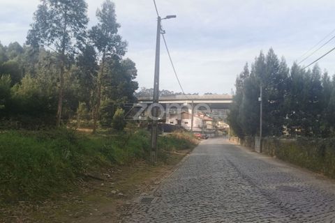 Terra a Pedroso, Porto, Pedroso - € 550.000 | Ref: ZMPT549778 - foto 25