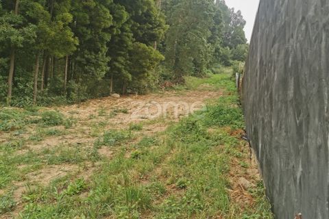 Terra a Pedroso, Porto, Pedroso - € 550.000 | Ref: ZMPT549778 - foto 30