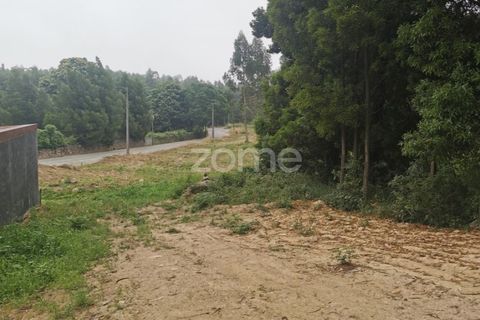 Terra a Pedroso, Porto, Pedroso - € 550.000 | Ref: ZMPT549778 - foto 31