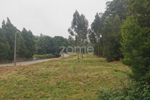 Terra a Pedroso, Porto, Pedroso - € 550.000 | Ref: ZMPT549778 - foto 32