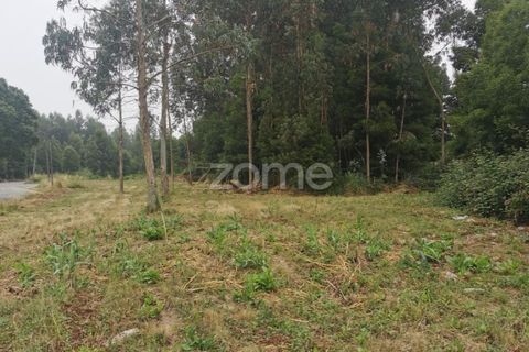 Terra a Pedroso, Porto, Pedroso - € 550.000 | Ref: ZMPT549778 - foto 33