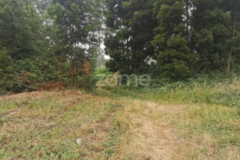 Terra a Pedroso, Porto, Pedroso - € 550.000 | Ref: ZMPT549778 - foto 34