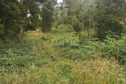Terra a Pedroso, Porto, Pedroso - € 550.000 | Ref: ZMPT549778 - foto 35