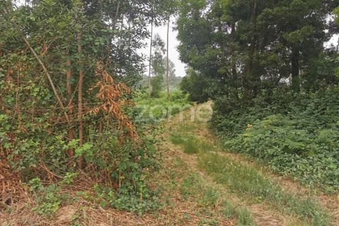 Terra a Pedroso, Porto, Pedroso - € 550.000 | Ref: ZMPT549778 - foto 36