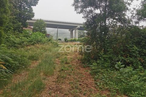 Terra a Pedroso, Porto, Pedroso - € 550.000 | Ref: ZMPT549778 - foto 37