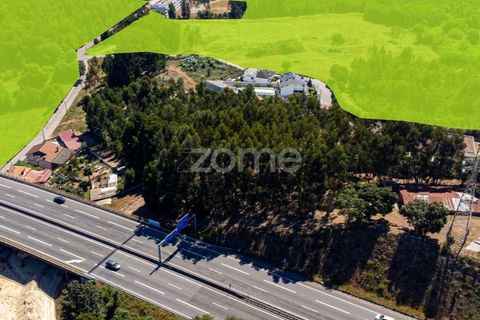 Terra a Pedroso, Porto, Pedroso - € 550.000 | Ref: ZMPT549778 - foto 39
