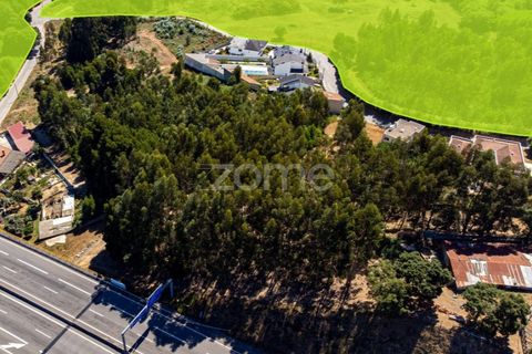 Terra a Pedroso, Porto, Pedroso - € 550.000 | Ref: ZMPT549778 - foto 40