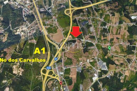 Terra a Pedroso, Porto, Pedroso - € 550.000 | Ref: ZMPT549778 - foto 4