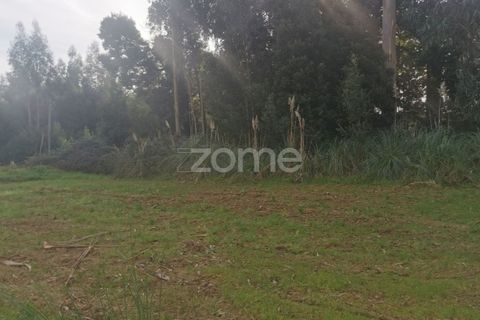 Terra a Pedroso, Porto, Pedroso - € 550.000 | Ref: ZMPT549778 - foto 26