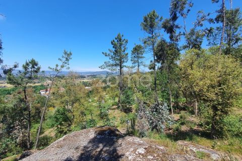 Helårsgrund i Barcelos, Braga, Barcelos - € 99.900 | Ref: ZMPT550075 - foto 12
