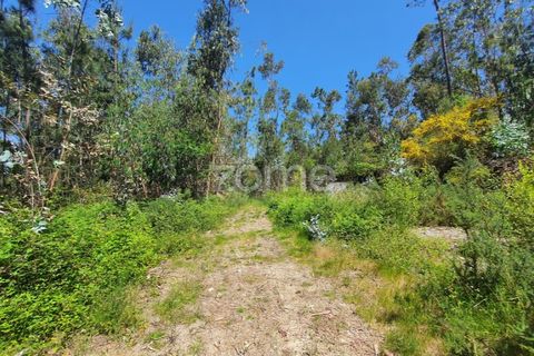 Helårsgrund i Barcelos, Braga, Barcelos - € 99.900 | Ref: ZMPT550075 - foto 14