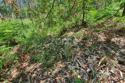 Helårsgrund i Barcelos, Braga, Barcelos - € 99.900 | Ref: ZMPT550075 - foto 17
