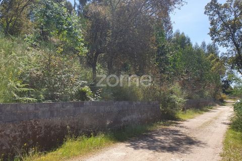 Helårsgrund i Barcelos, Braga, Barcelos - € 99.900 | Ref: ZMPT550075 - foto 26