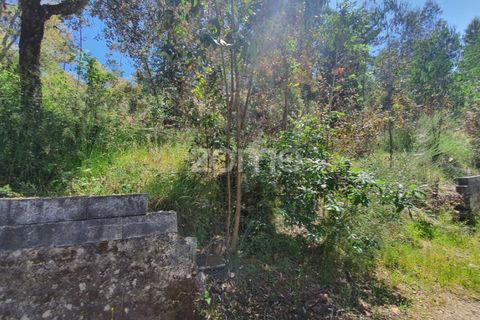 Helårsgrund i Barcelos, Braga, Barcelos - € 99.900 | Ref: ZMPT550075 - foto 27