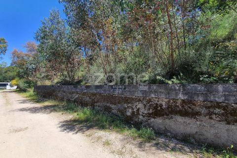Helårsgrund i Barcelos, Braga, Barcelos - € 99.900 | Ref: ZMPT550075 - foto 28