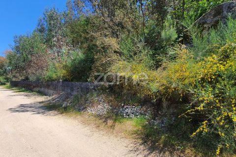 Helårsgrund i Barcelos, Braga, Barcelos - € 99.900 | Ref: ZMPT550075 - foto 29