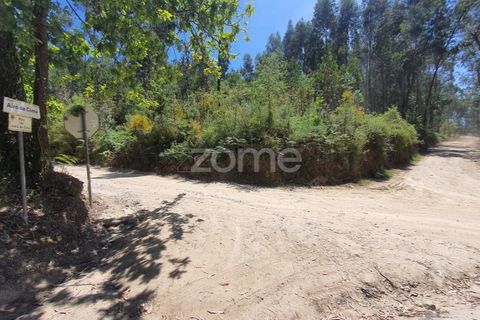 Helårsgrund i Barcelos, Braga, Barcelos - € 99.900 | Ref: ZMPT550075 - foto 32