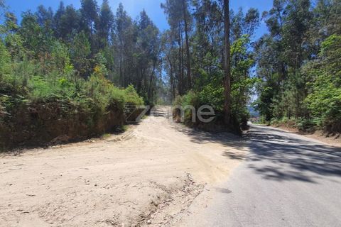 Helårsgrund i Barcelos, Braga, Barcelos - € 99.900 | Ref: ZMPT550075 - foto 33