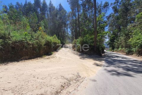 Helårsgrund i Barcelos, Braga, Barcelos - € 99.900 | Ref: ZMPT550075 - foto 34