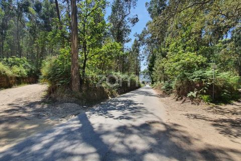 Helårsgrund i Barcelos, Braga, Barcelos - € 99.900 | Ref: ZMPT550075 - foto 35