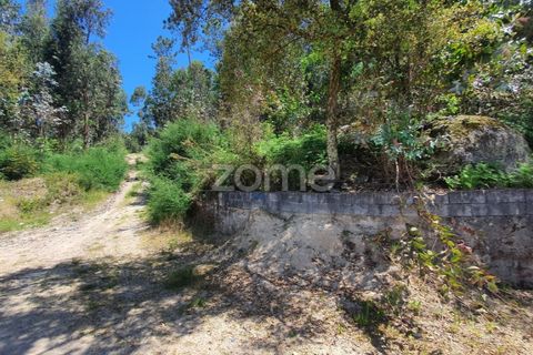 Helårsgrund i Barcelos, Braga, Barcelos - € 99.900 | Ref: ZMPT550075 - foto 2