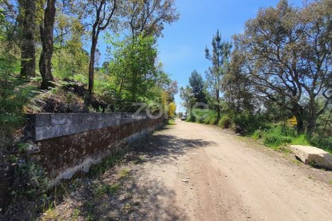 Helårsgrund i Barcelos, Braga, Barcelos - € 99.900 | Ref: ZMPT550075 - foto 3