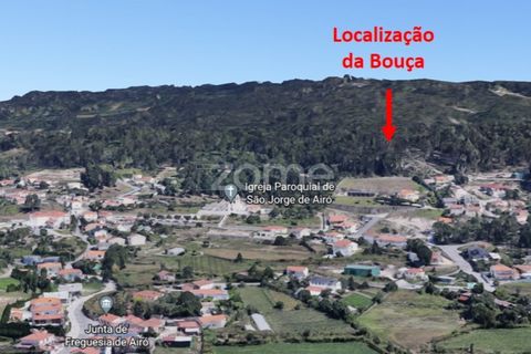Helårsgrund i Barcelos, Braga, Barcelos - € 99.900 | Ref: ZMPT550075 - foto 37