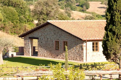 Villa a Scansano, Grosseto, Scansano - € 310.000 | Ref: v1715d-x - foto 8