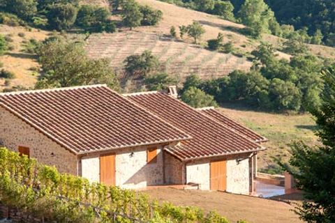 Villa a Scansano, Grosseto, Scansano - € 310.000 | Ref: v1715d-x - foto 14