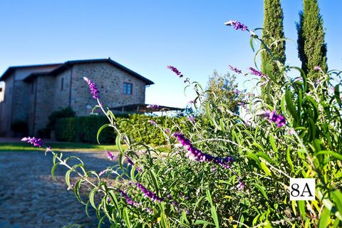 Villa a Scansano, Grosseto, Scansano - € 310.000 | Ref: v1715d-x - foto 50
