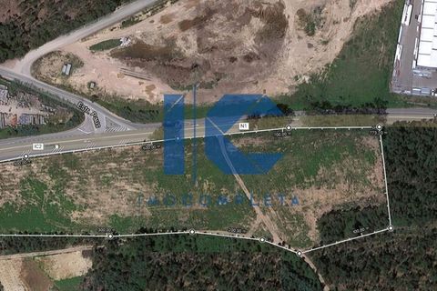 Helårsgrund i Agueda, Aveiro, Agueda - € 951.000 | Ref: 20220500901 - foto 2