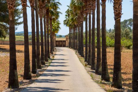 Villa i Algaida, Mallorca, Algaida - € 3.250.000 | Ref: 74024 - foto 2